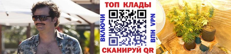 Купить наркотик аптеки Благовещенск COCAIN Бутират A-PVP Конопля Гашиш