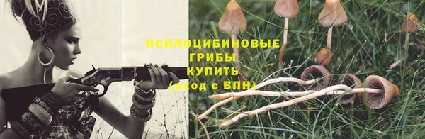 соль ск Абаза