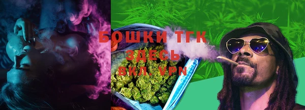 соль ск Абаза