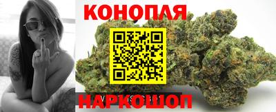 apvp Свободный