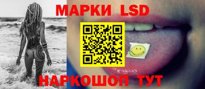apvp Свободный