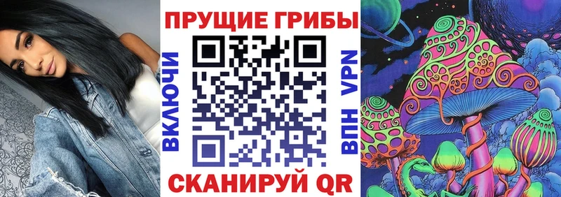 что такое   Благовещенск  Псилоцибиновые грибы мицелий 