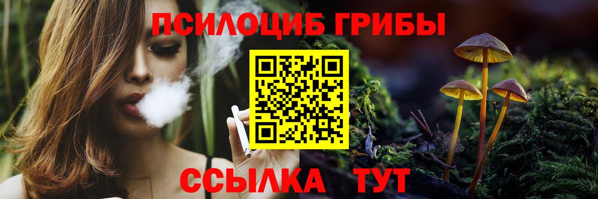 Псилоцибиновые грибы Magic Shrooms  Вход с VPN  Благовещенск  Псилоцибиновые грибы Magic Shrooms 