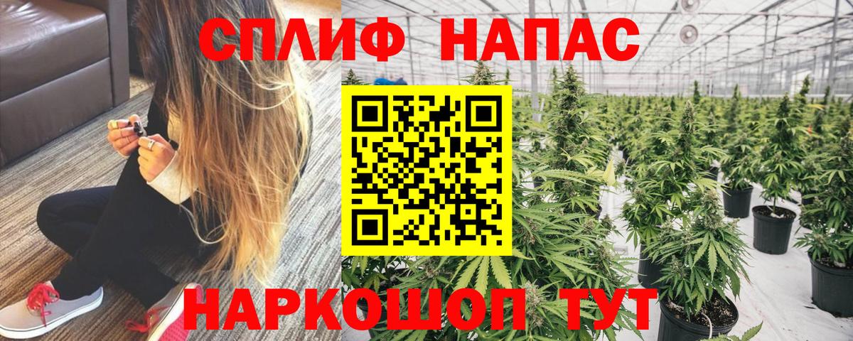 Благовещенск  Бошки Шишки планчик  Вход с VPN  Конопля марихуана  Марихуана планчик  Бошки Шишки SATIVA & INDICA 
